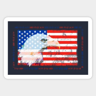 Happy 4th of July Sticker